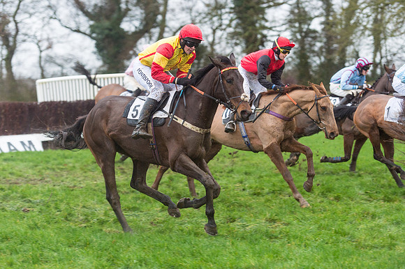 Race 8 - Young Horse Maiden  (52 of 85).jpg