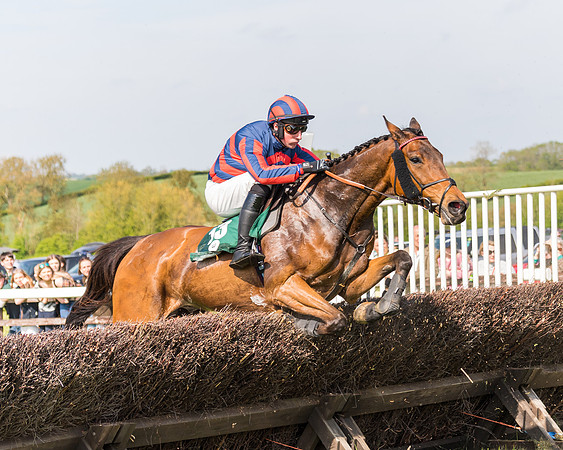 Race 4 - PPORA Novice Riders  (94 of 203)