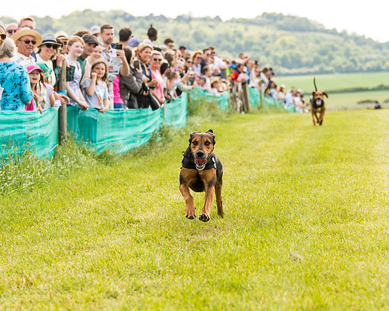 Draghounds Race (123 of 212)