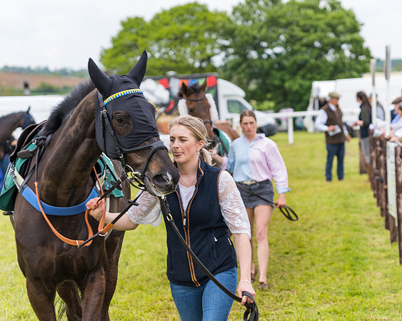 Race 7 - Veteran Horse conditions (5 of 244)