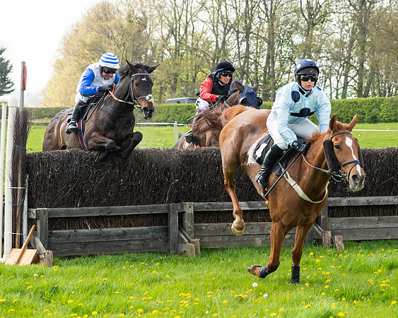 Race 2 - Veteran Horse  (64 of 82)