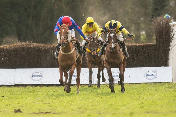 Race 5 - 2M 4F Conditions (76 of 96).jpg