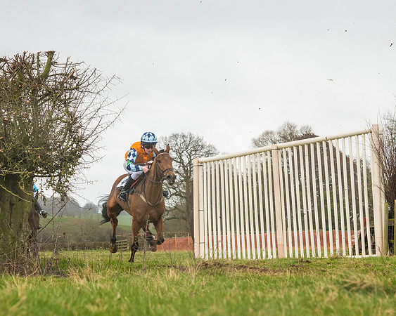 Pony Race 3 (65 of 67)