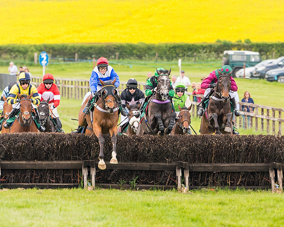 Race 6 = Maiden (100 of 187)