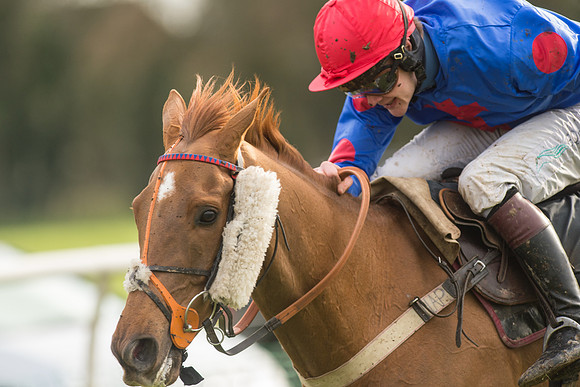 Race 5 - 2M 4F Conditions (96 of 96).jpg
