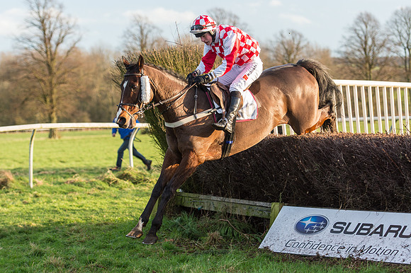 Race 6 - Novice Riders (102 of 103).jpg