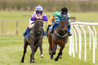 Pony Races
