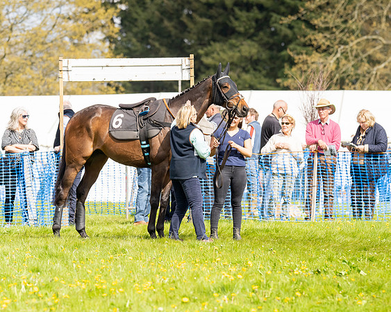 Race 4 - Ladies Conditions  (7 of 86)