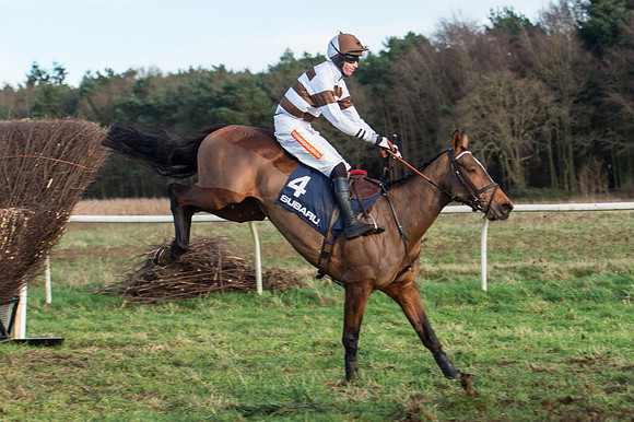 Race 5 - Restricted Race (79 of 107).jpg