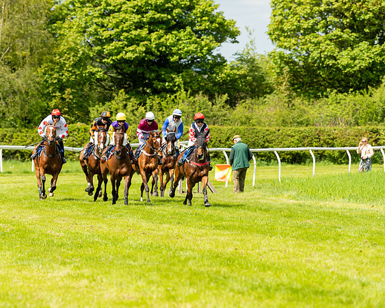 Race 1 - The Condiitions race (46 of 123)