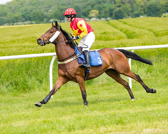 Race 1 - The Little Red owner Trainer conditions (97 of 345)