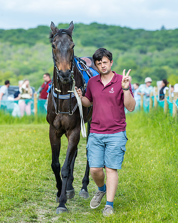 Race 5 - Restricted (23 of 335)