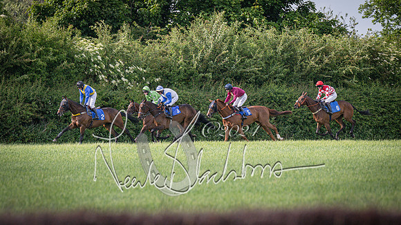 Race 6 - Thorn Plant Hire Maiden Race (63 of 129)