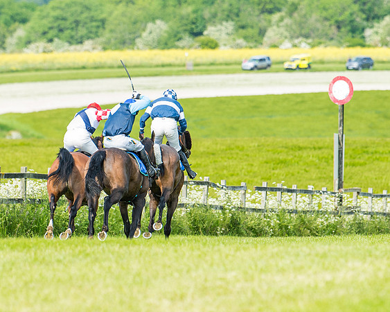 Race 4 - Mixed Open  (314 of 461)