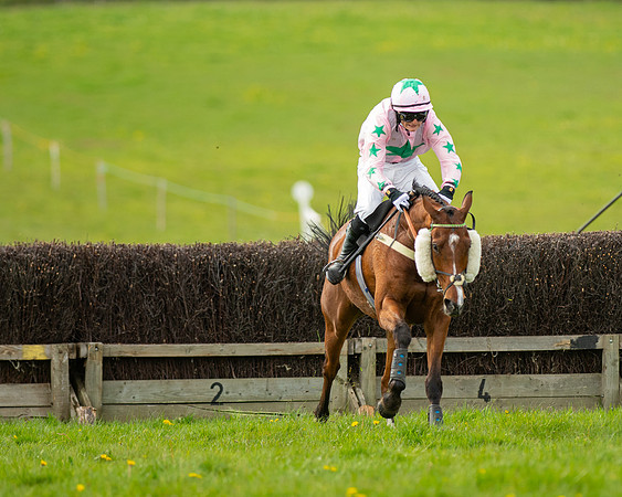 Race 5 - Open Maiden  (69 of 89)