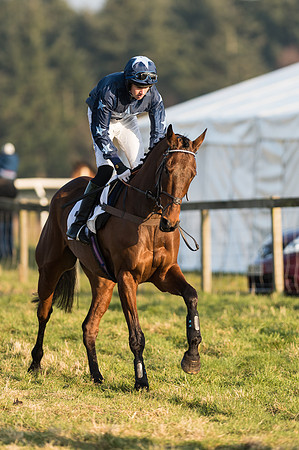Race 6 - Open Maiden Div 1 (4 of 83).jpg