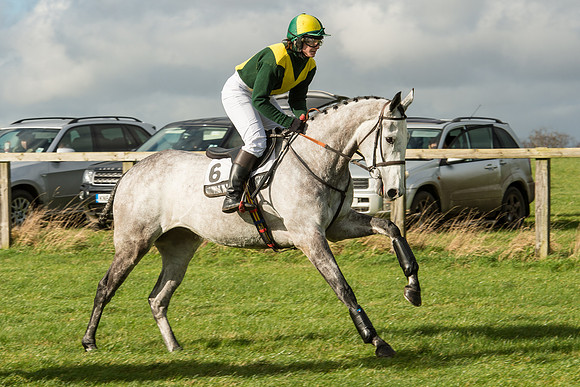 Race 2 - Young Horse Maiden (12 of 110).jpg