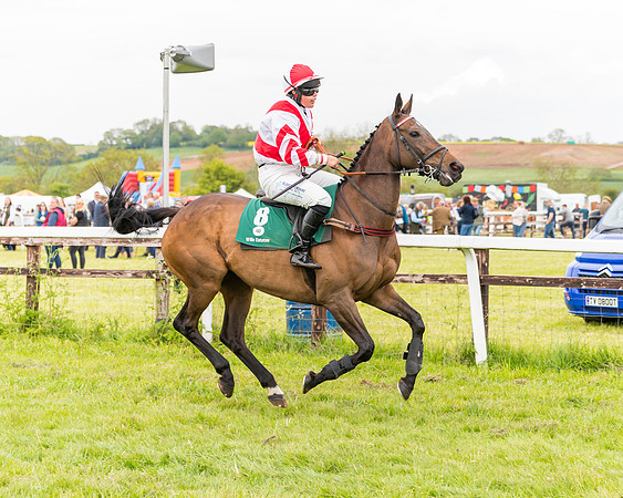 Race 7 - Veteran Horse conditions (44 of 244)