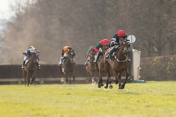 Race 5 - Restricted Race (67 of 98).jpg