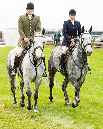 Race 2 - ROR and veteran Horse Conditions race (9 of 77)