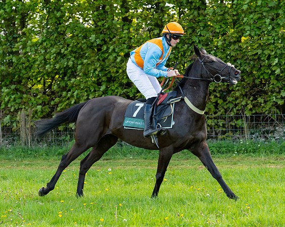 Race 7 - Maiden  (11 of 113)