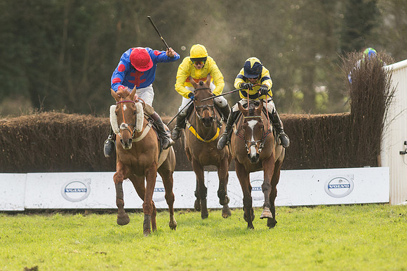 Race 5 - 2M 4F Conditions (77 of 96).jpg