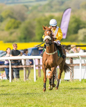 Race 5 - Restricted  (6 of 164)