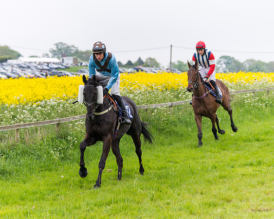 Race 6 - The Maiden [NWFAA] (17 of 143)