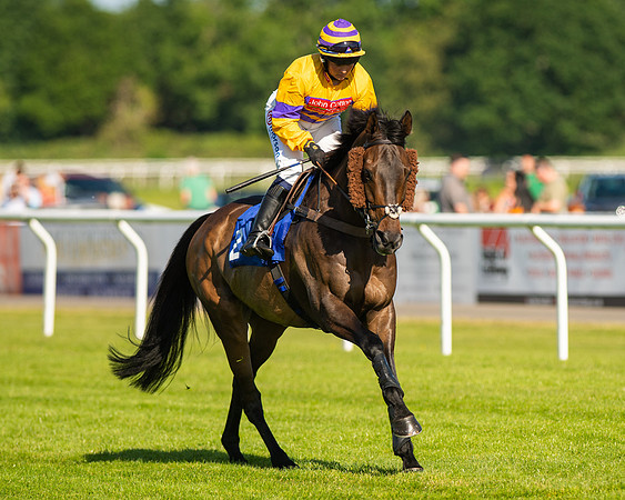 Race 1 - JFF Open Hunter Steeple Chase 2m  (1 of 202)