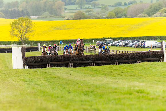 Race 7 - Veteran Horse conditions (96 of 244)
