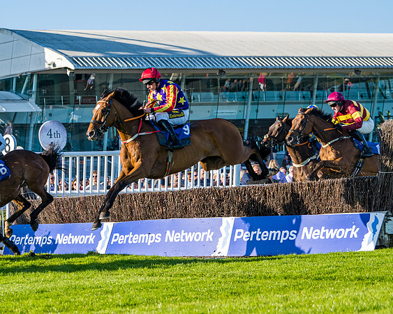 Race 4 - Foxhunters Championship (65 of 175)