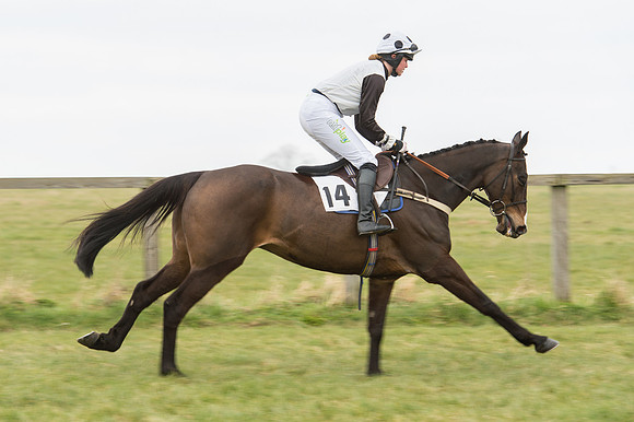 Race 2 - PPORA Novice riders  (46 of 186).jpg