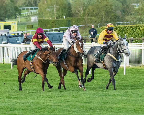 Race 5 - Mares Open  (124 of 329)