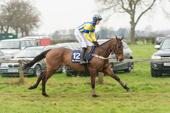 Race 5 - The Restricted Race (4 of 86).jpg