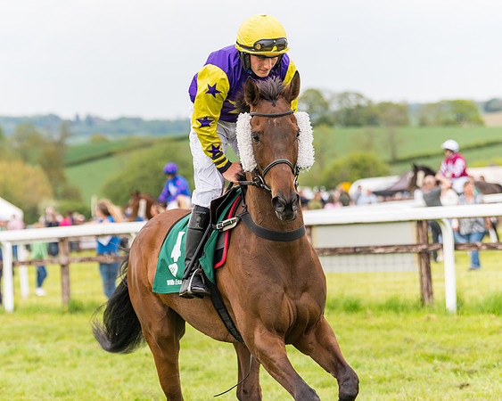 Race 7 - Veteran Horse conditions (67 of 244)
