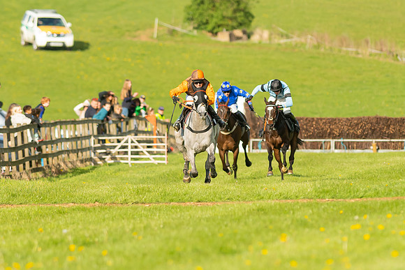 Race 7 - Maiden  (83 of 113)