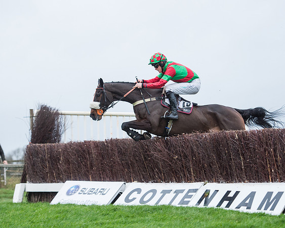 Race 6 - 4-5-6 Year Old Maiden (20 of 69).jpg