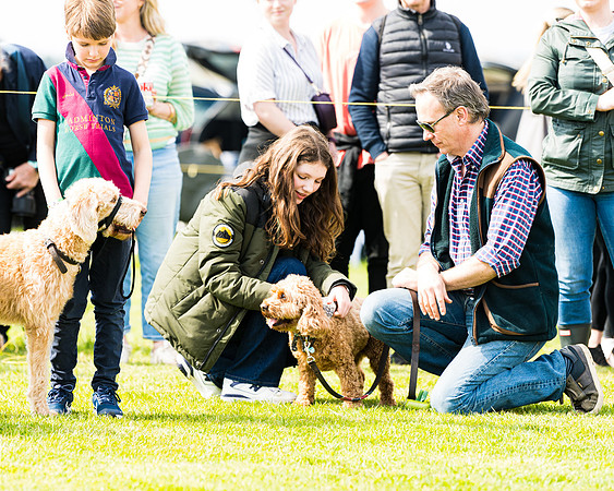 Dog show etc (95 of 157)