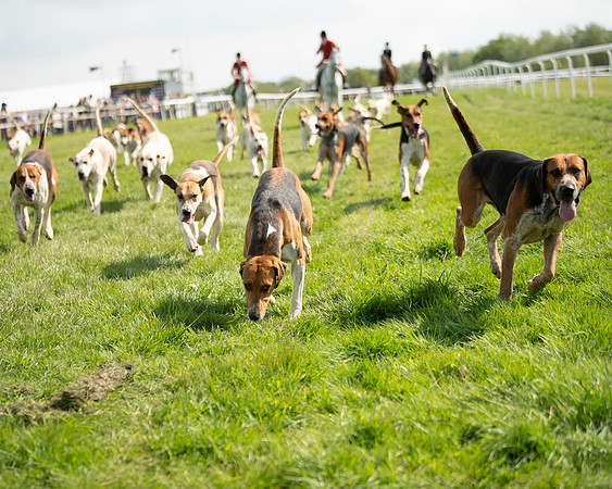 Race 4 - PPORA Novice Riders  (6 of 203)