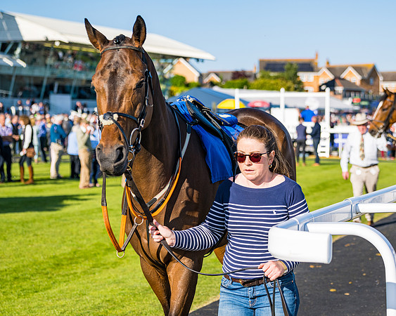 Race 3 - John Corbet Cup (4 of 127)