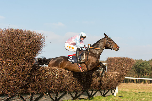Race 5 - Restricted Race (39 of 64).jpg