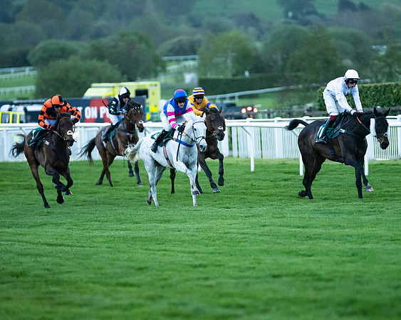 Race 7 - Gloucester Hussars Open  (44 of 154)