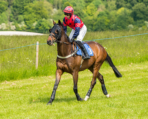 Race 2 - PPORA Novice Riders (161 of 444)