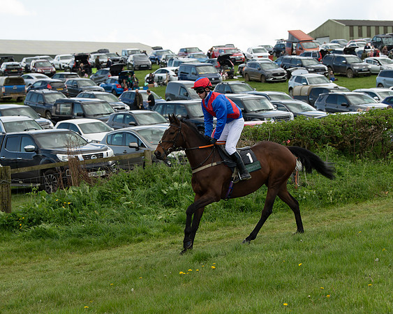 Race 5 - Novice and Veteran Riders (3 of 91)
