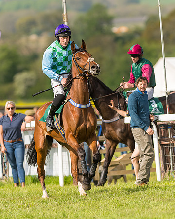 Race 5 - Restricted  (38 of 164)