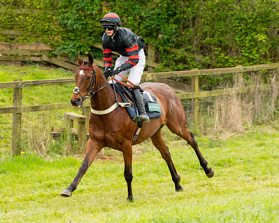 Race 2 - ROR and veteran Horse Conditions race (4 of 77)