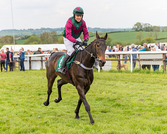Race 6 = Maiden (45 of 187)