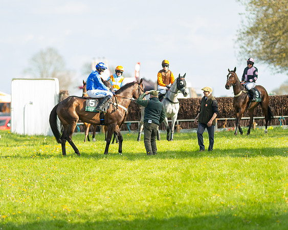 Race 7 - Maiden  (26 of 113)