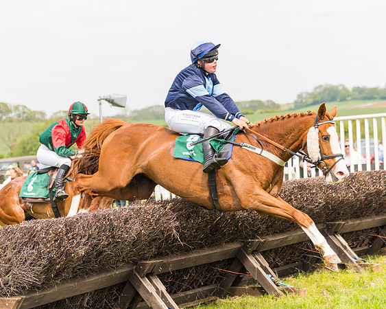 Race 2 - Owner-Trainer Conditions  (108 of 208)