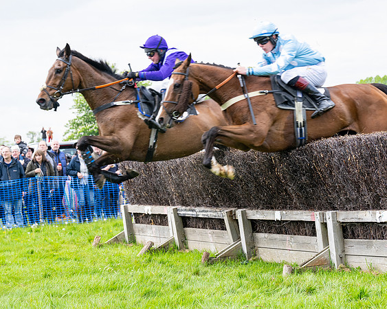 Race 2 - Veteran Horse (49 of 80)